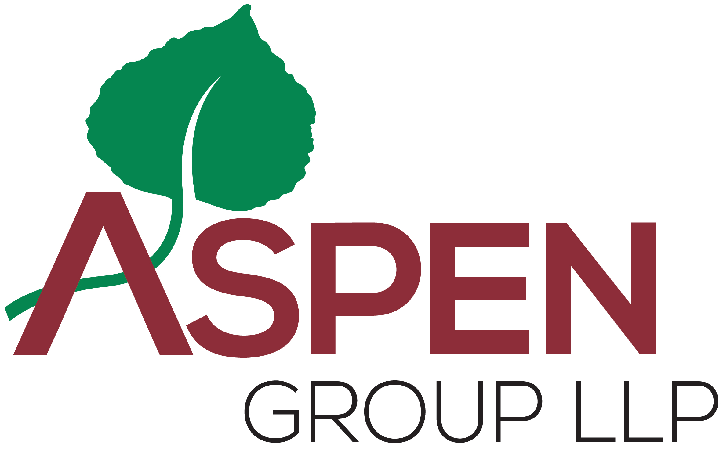 Aspen Group Logo Primary Color